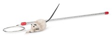 Go Cat Teaser Cat Catcher Wand Toy NEW
