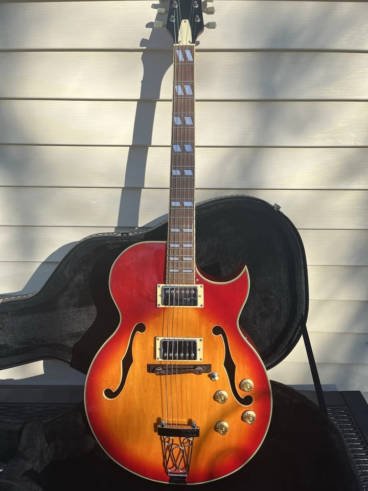 Guitarra Eléctrica Jay Turser JT136 Cherry Sunburst Cuerpo de Arce Pastillas de Duelo En muy buena condición+ Foto 2 de 4