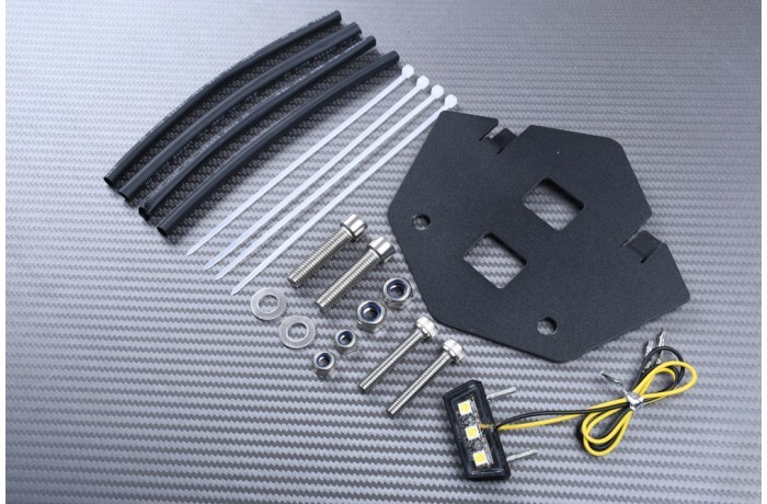 Support de plaque BMW S1000RR réglable en inclinaison châssis 0E21