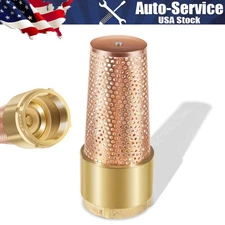 2 Inch Foot Valve for Irrigation Pump,Wells One-Way With ZEBRA MUSSEL Strainer
