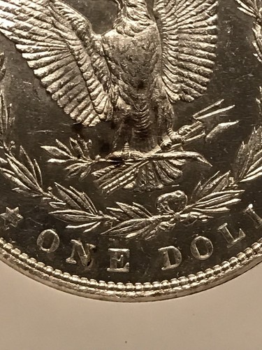 1887 P $1 NGC Graded MS 65 PL (VAM-6A) Spiked Tail Feather 1647300-006 Morgan - Picture 14 of 19