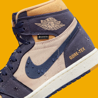 Nike Air Jordan 1 High Element Gore-Tex Sky J Purple