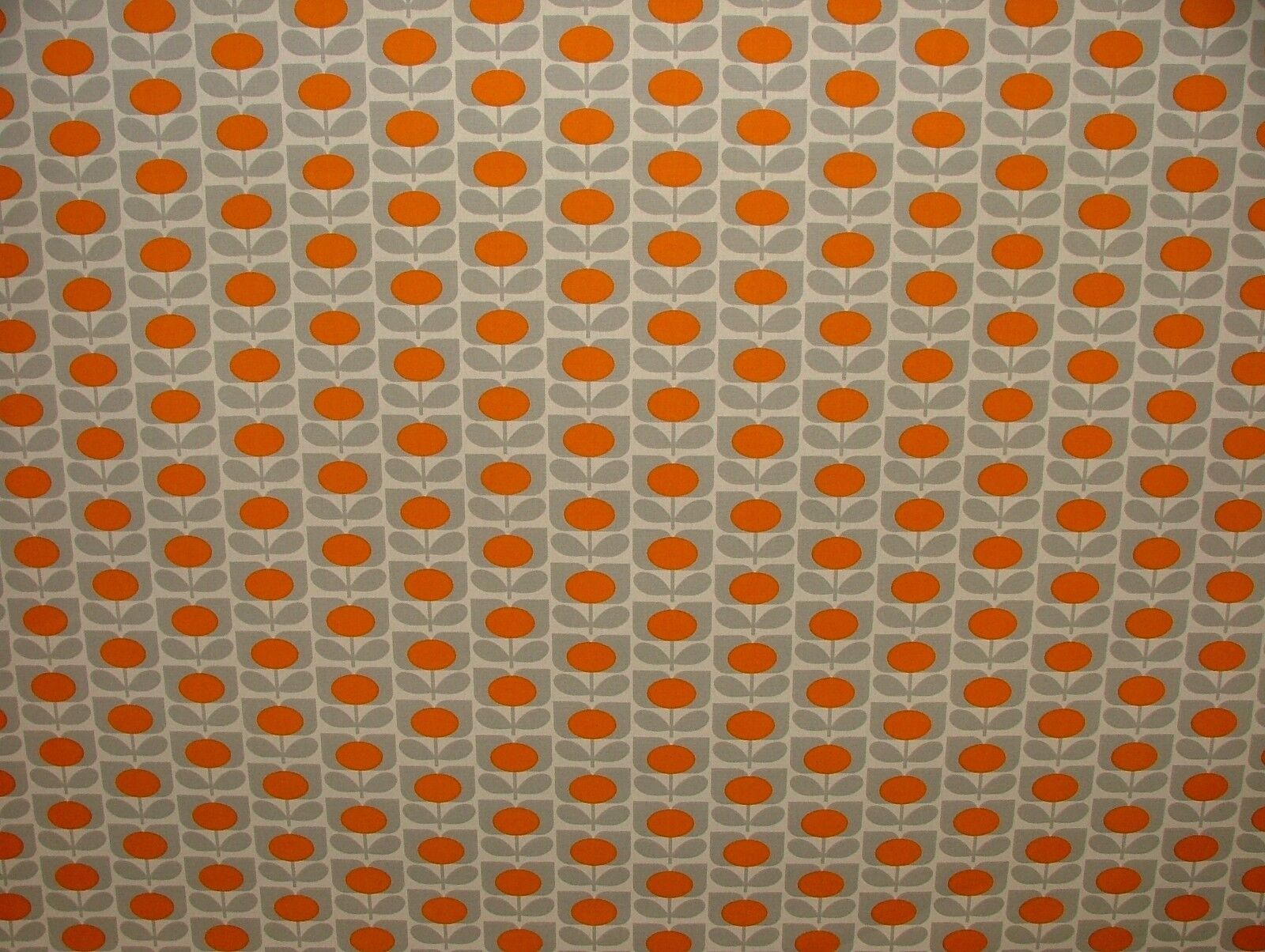 Picture 4 of 8