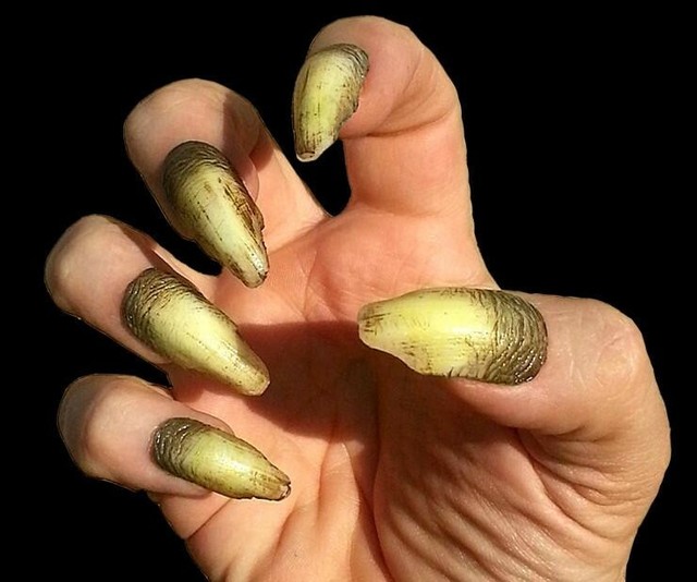 Creepy Claws Fake Claws Werewolf Gremlin Witch Vampire Nails Dental Distortions Orlock For Sale Online Ebay
