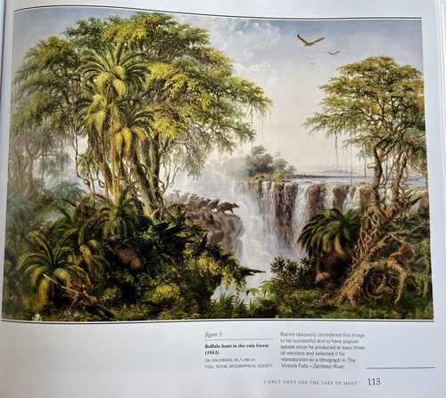 Life and Work of Thomas Baines Carruthers Arnold Artist South Africa H/C D/J - Foto 8 di 11