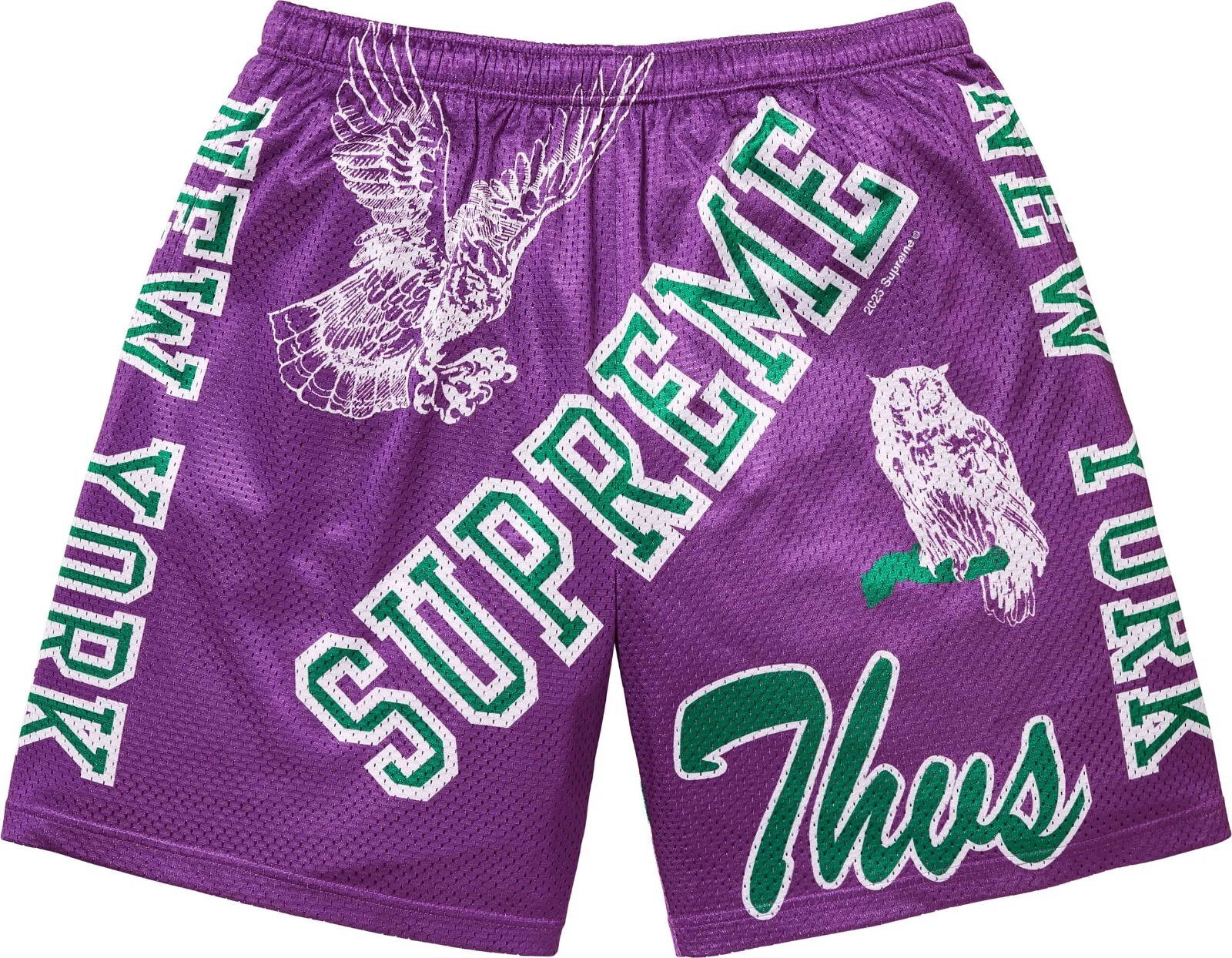 SUPREME VARSITY MESH SHORT (LARGE) (VIOLET) SS25 UMBRO JACQUARD SOCCER SHORT