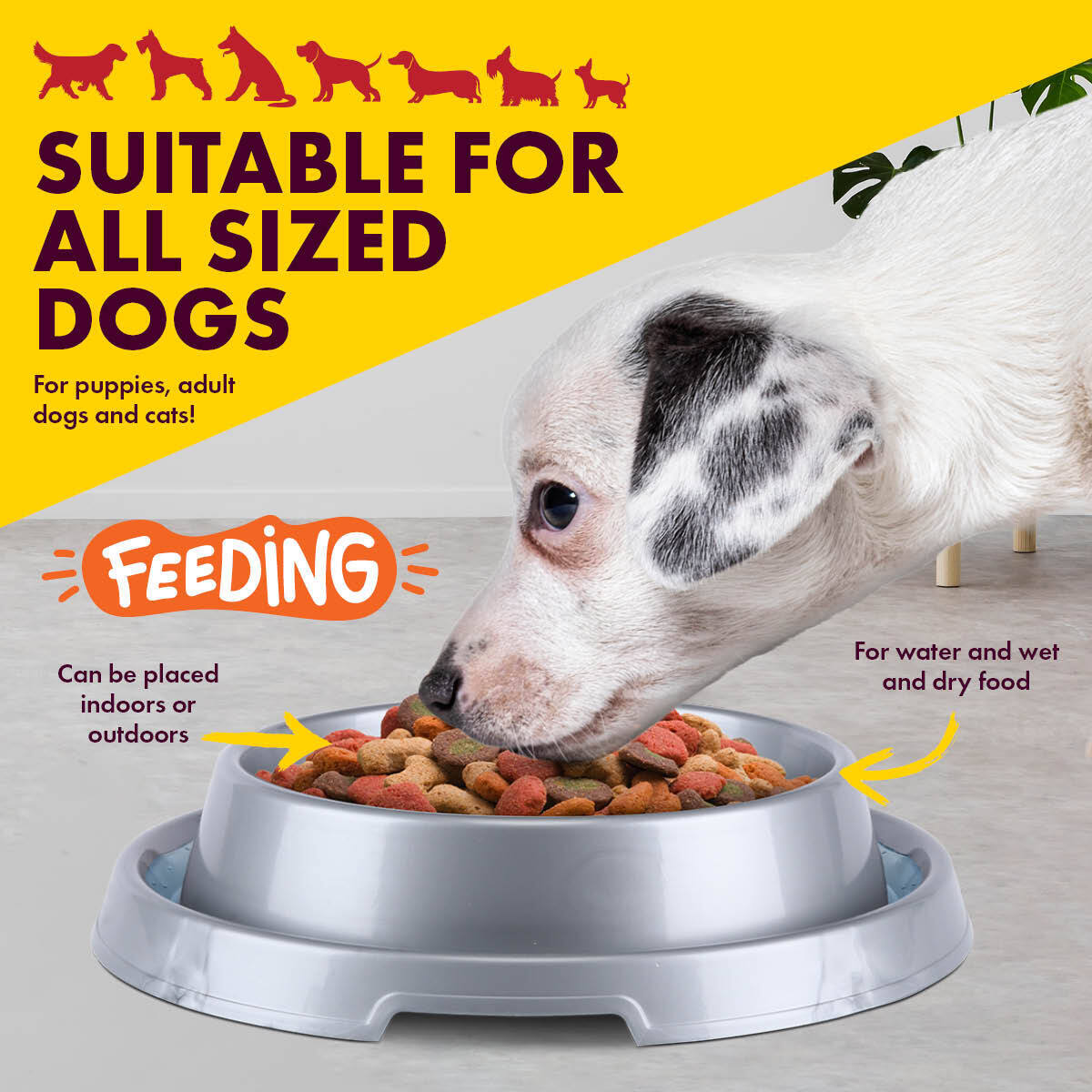 Pet Basic 4PCE Dog Bowl Ant Proof Designed Rim Durable NonSlip Base 22