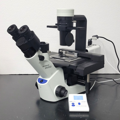 Olympus Microscope CKX53 with Phase Contrast & CooLED Fluorescence