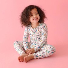 Posh Peanut Size 5/6 Disney Princess Friends Pajama PJ LS Pants Set NWT
