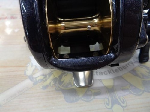 Carrete eléctrico Daiwa Leo Blitz S400 cuerda derecha, 550 g (modelo 2016) - Imagen 4 de 7