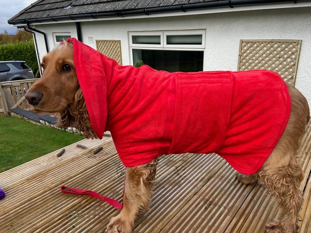 ruff and tumble dog coats sale