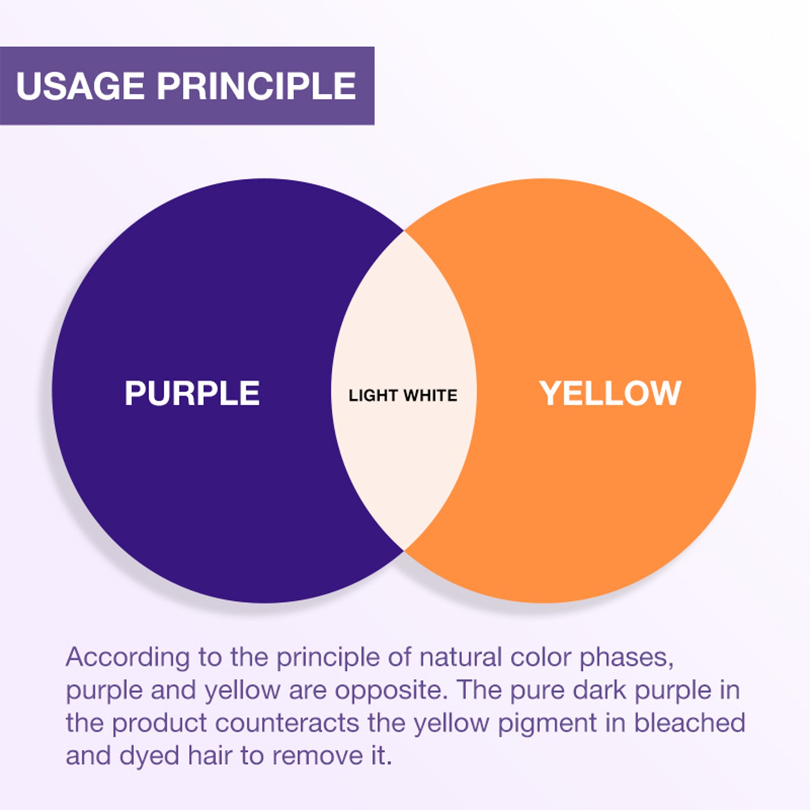 Karseell Purple Shampoo Professional Neutralizes Brass & Yellow Tones