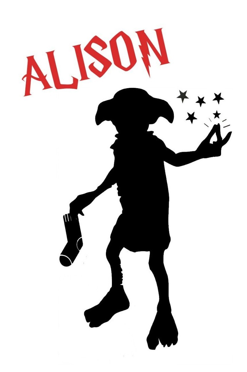 LARGE Harry Potter Name / Dobby plus more Wall / Bedroom / Vinyl