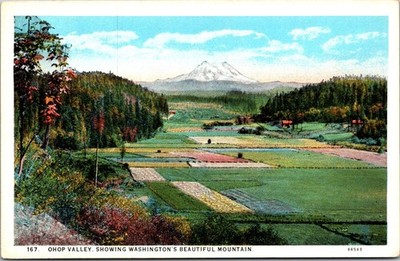 Leland Lund Postcard Ohop Valley Washington Scenic Mountain Divided Back Color