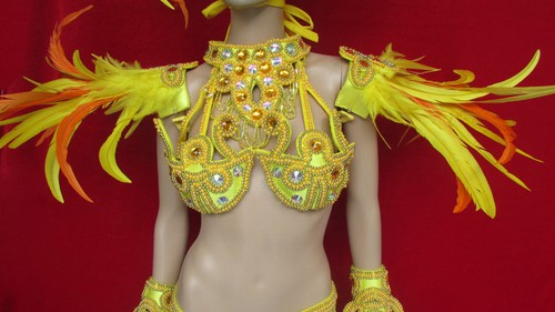 Da NeeNa C076CC Samba Parade Drag Carnival Rio Dancer Costume Set XS-XL - Picture 3 of 12