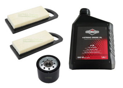 Oil Filter + Air Filter + Oil SAE30 for Briggs & Stratton B&S 492932 695547 1...