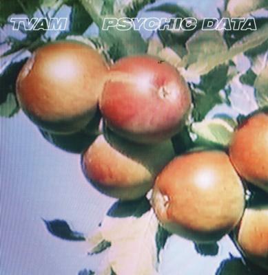 TVAM - PSYCHIC DATA   CD NEU