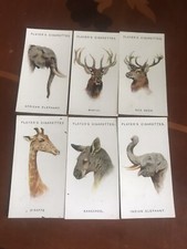 6 X Wild Animals Heads. John Player & Sons Cigarette cards