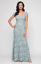 Alex Evenings Soutache Sequin Lace A-Line Gown In Color Ice Sage Size 12 NWT