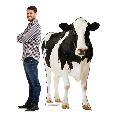 Cow Stand Up Party Decoration Farm Animal Lifesize Cardboard Cutout Farmer Party - Afbeelding 3 van 15