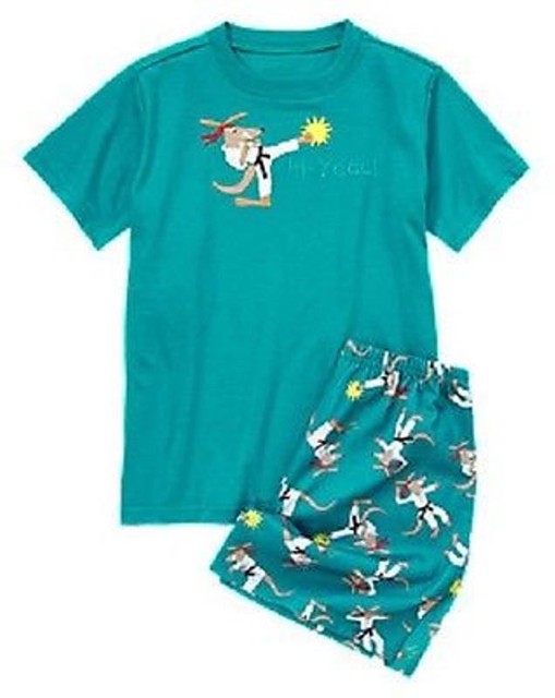 NWT Gymboree Karate Kangaroo Gymmies Sleepwear Pajamas 2T eBay