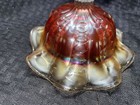 Foto 7 di 11