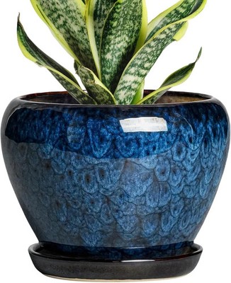6 Inch Ceramic Plant Pot with Drainage Hole and Matching Saucer, Blue Planter fo