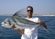 Savage Gear Panic Popper & Prey Fishing Lures You Choose Roosterfish GT Trevally