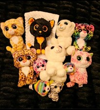 TY Beanie Boos CATS BUNDLE Lot 11 Total Pieces Nice Clean Collection