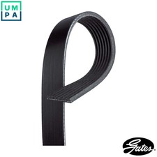 CINTURÓN ACANALADO 7PK2875XS PARA FORD TRANSIT/plataforma/chasis/furgoneta/autobús LDV H9FD 2,4 L