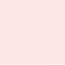 Free Spirit Tula Pink Solids Peach Fuzz Cotton Fabric By Yd