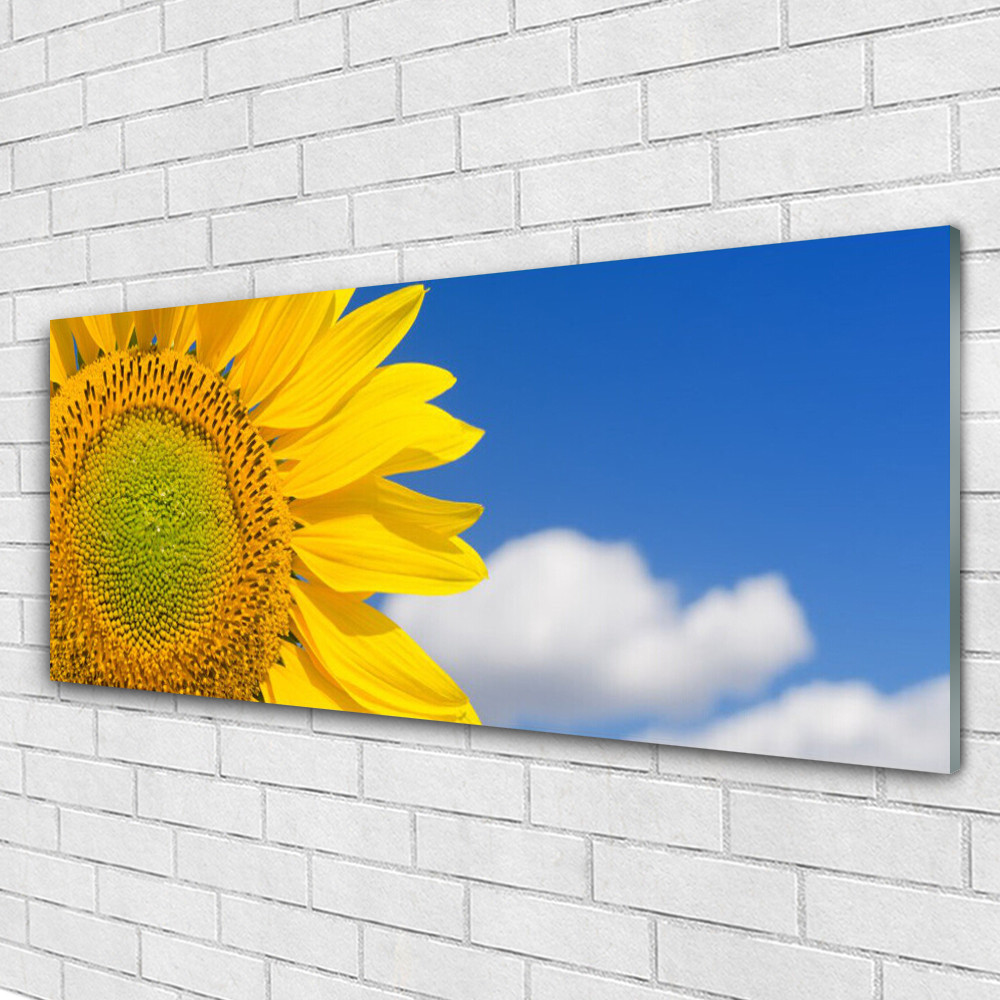 Image tableaux 125x50 floral tournesol nuages panorama mural design pour décoration de chambre