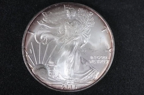 NobleSpirit GEM BU 2006 American SILVER Eagle .999 1oz  Frosty w Light Toning