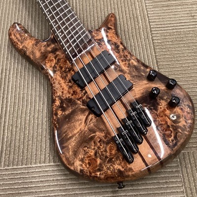 Spector Ns Dimension Ms *Qg58