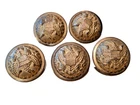 Five Civil War Coat Buttons US Military Scovill MFG Co Waterbury Brass
