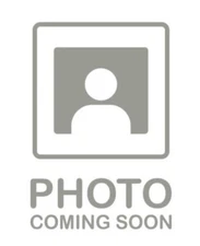 Ancient tomb at Asuwayama, Echizen Fukui City (1960)