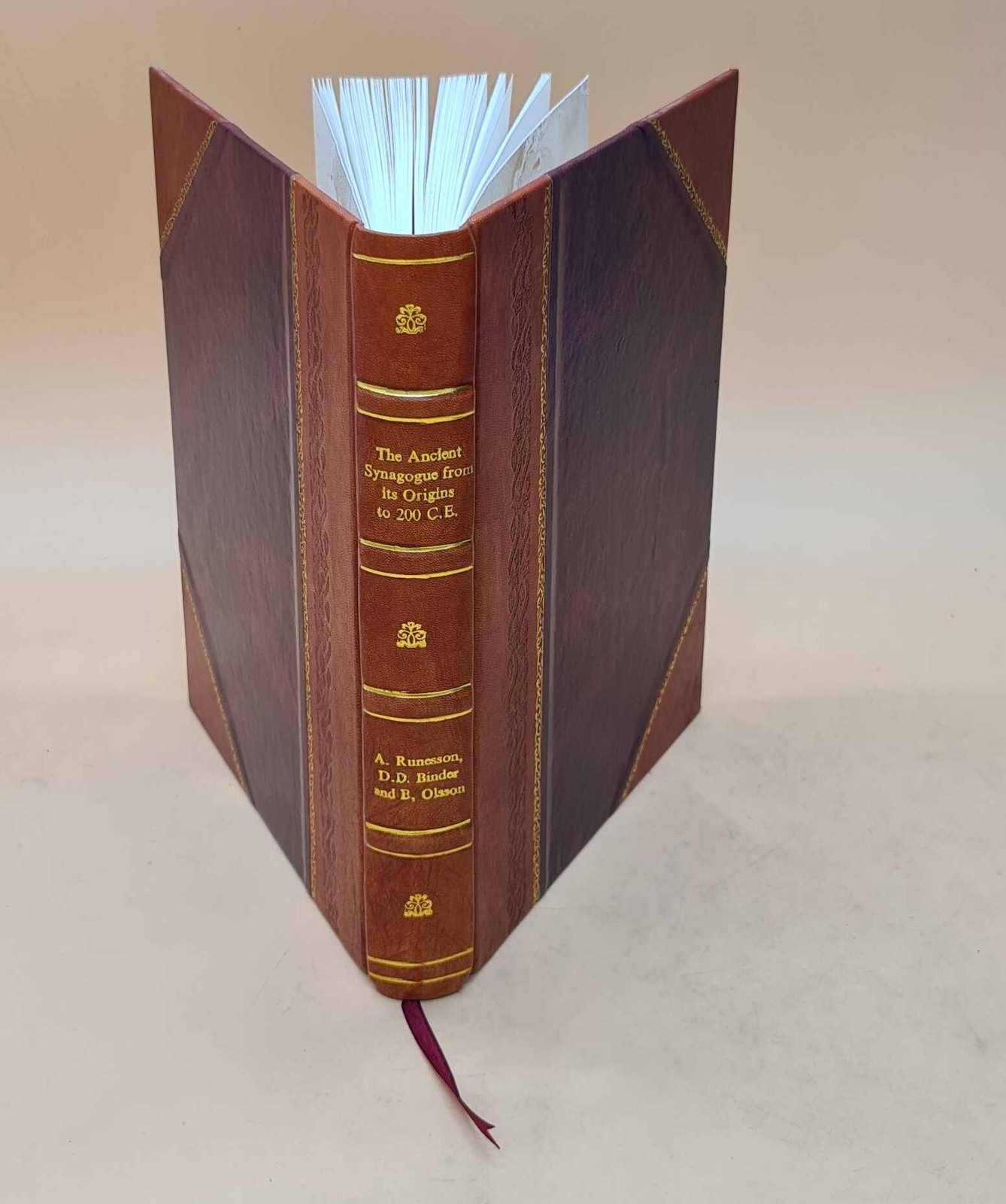 Ancient Synagogue Origins to 200 CE Source Book Leather Bound Edition