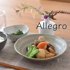Japanese Mino Ware Allegro Ceramic Deep Plate Tableware Dinner Dish Curry Plate