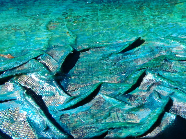 Picture 8 of 12