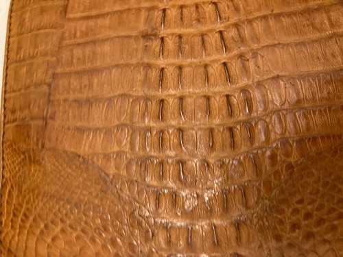Camel Real Crocodile Leather Shoulder Bag - Picture 7 of 19