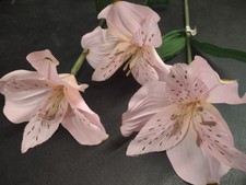 3/Set Vintage Stems: Jumbo Alstroemeria, 6" Bloom, Silk Peruvian Lily/Alstro 18"