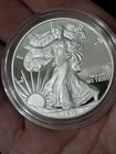 2012-S Proof $1 American Silver Eagle Capsule