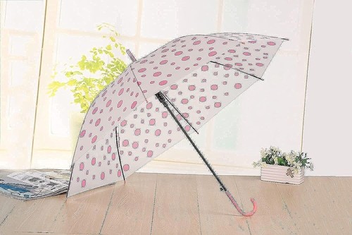 Parapluie Enfant Transparent En Forme De Dôme - Anti-pincement, Léger (220g) - Poignée En J - Dauphin Bleu - Taille S