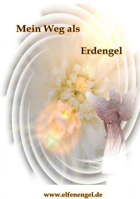 Mein Weg Als Erdengel | Buch | 9783837099218