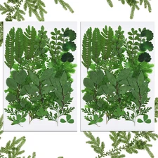 42PCS Dried Pressed Leaves Dried Flowers for Resin Real Assorted Dried Greenery