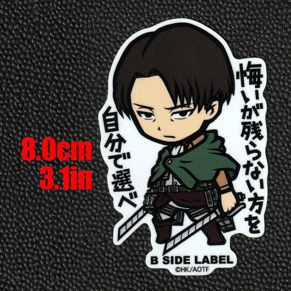 Levi Ackerman  Captain levi, Attack on titan anime, Attack on titan