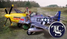 THE COLLECTORS SHOWCASE P-51 DETRIOT MISS CS01222 WWII FIGHTER