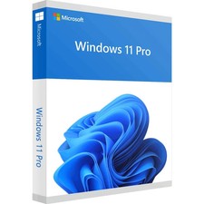    Windows 11 Professional Key 64-bit  Instant Delivery   