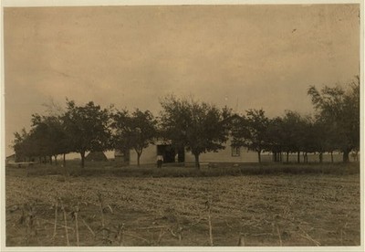 Girard Farm,West,Texas,French Americans,Lewis Wickes Hine,November 1913