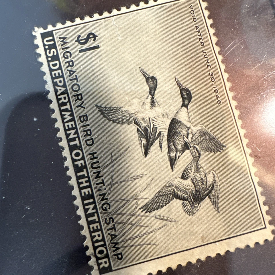 Migratory Bird Hunting Stamp $1 U. S. Department Of Agriculture 1946 MNH - Image 2 of 4